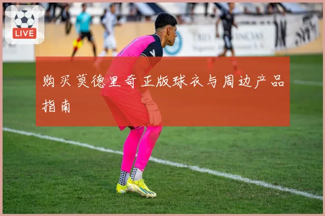 购买莫德里奇正版球衣与周边产品指南