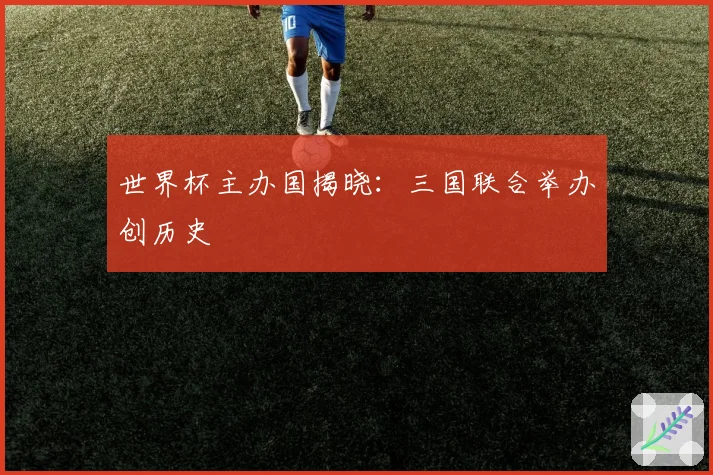 世界杯主办国揭晓：三国联合举办创历史